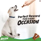 Pedigree Biscrok Biscuits Dog Treats Chicken Flavour, 500gm