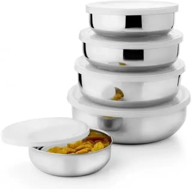 Stainless Steel Food Storage Container (Pack of 5, Silver)