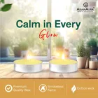ASIAN AURA Vanilla Cake T-Light Candles - Pack Of 20
