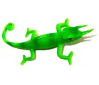 Nawani Wild Republic Reptile 