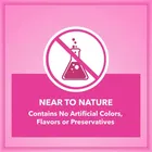 Let's Bite Active Kitten Cat Food, 400 g 