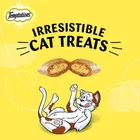 Temptations Cat Treat, Tasty Chicken Cat Food 85 g