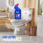ब्राइटएक्स टॉयलेट क्लीनर 500 ml