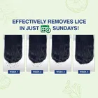 Mediker Natural Anti Lice Hair Oil 50 ml