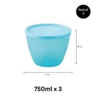 Fresherware Airtight Oval Containers Pack of 3 
