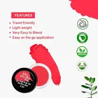 Skin Smoothie 3In1 Lip Tint 