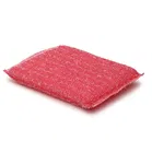 Klen Shine Nylon Scrub Pad 