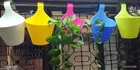 Plastic Hanging Planters 
