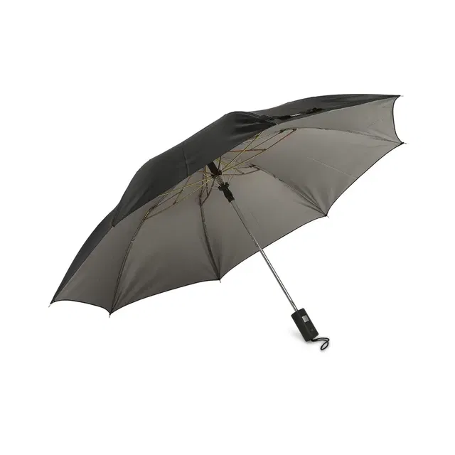 CITIZEN 2 Fold Auto Open & Close Umbrella [21 Inch, Black Silver]