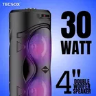 TecSox Rockstar 30W Bluetooth Speaker