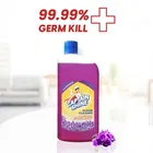 Captain Shine Disinfectant Floor Cleaner 500 ml 