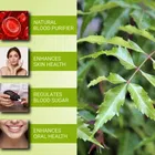 Srishma Neem Juice | Natural Juice Made From Fresh Neem Leaves | Healthy Hair & Skin 