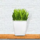 Plastic Artificial Flower 