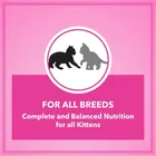 Let's Bite Active Kitten Cat Food, 400 g 