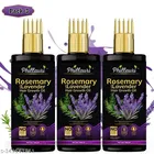 Phillauri Rosemary Hair Growth Oil with Rosemary & Methi Dana for Promoting Hair Growth Hair Oil with lavender hair growth oil (100 ml, pack of 3)