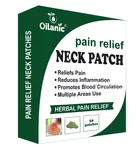 Oilanic Neck Pain Relief 10 Pcs Heat Patches, Pack of 1