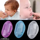 Baby Fruit Feeder And Silicone Brush Combo