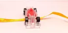 Plastic Car Rakhi for Kids 
