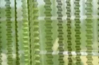 Sheer Plain Green Door Curtain 7ft Pack of 1