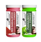 Park Daniel Premium Red Sandalwood Powder & Pudina