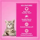 Let's Bite Active Kitten Cat Food, 400 g 