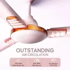 Longway Wave P1 1200 mm 3 Blade Ceiling Fan  