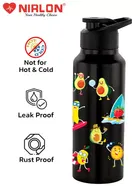Stainless Steel Insulated Single Wall Water Bottle 