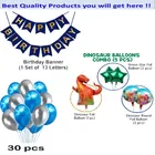 Jurrasic Park Theme Birthday,Navy Blue,Set Of 1