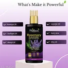 Phillauri Rosemary & Lavender Hair Oil 