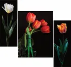 MDF 3 Pcs Designer Wall Painting for Home & Office 