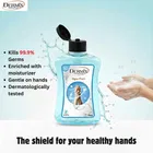 डर्मिक्स हैंड वाश एक्वा 250ml 