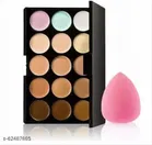 Premium Concealer with Makeup Blender 