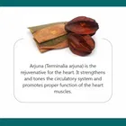 Srishma Arjun ki Chaal Powder, Arjuna Bark, Arjun Chal Tree Chhal 