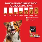 Drools Chicken and Egg Puppy Dog Food, 3 kg with Free 1.2 kg