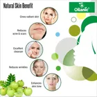 Natural Tulsi & Amla Powder for Skin & Hair 