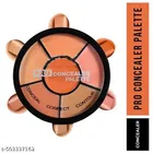 6-in-1 Colors Corrector Palette, Multicolor