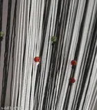 Polyester Beads Curtain for Door 