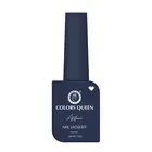 COLORS QUEEN Affair Matte Nail Laquer Nail Polish Midnight Magnet (Shade -17)