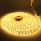 LED Rope Light 