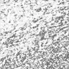 Ronzille Mettallic Glitter Eye Liner 