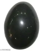 Shaligram Stone 