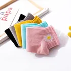 Cotton Blend Socks for Women 