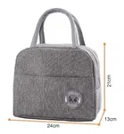 Insulated Tiffin & Lunch Bag 