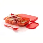 Parikshit Divine Lunch Box For Schol And Office use 