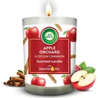 Air wick Apple Orchard & Ceylon Cinnamon Aroma Fragrance 185 g