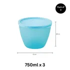 Fresherware Airtight Oval Containers Pack of 3 