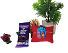 Synthetic Rakhi with Chocolate 