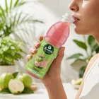 Freshly Guava Juice 250 ml