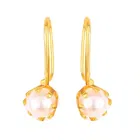 Gold Plated Alloy Earrings for Women 