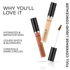 Seven Seas Coverup Liquid Concealer, Ivory 